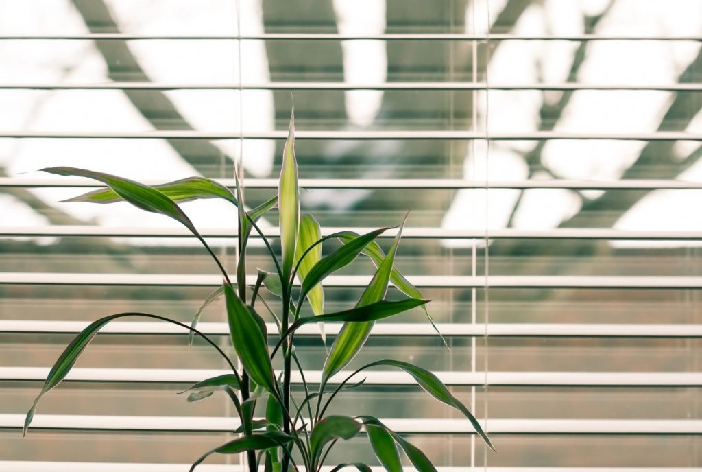 The Best Type of Blinds to Use In Your Dirty Kitchen