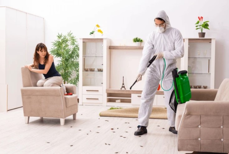 Musty Odours: Indicators of Pest Infestation in Your Home