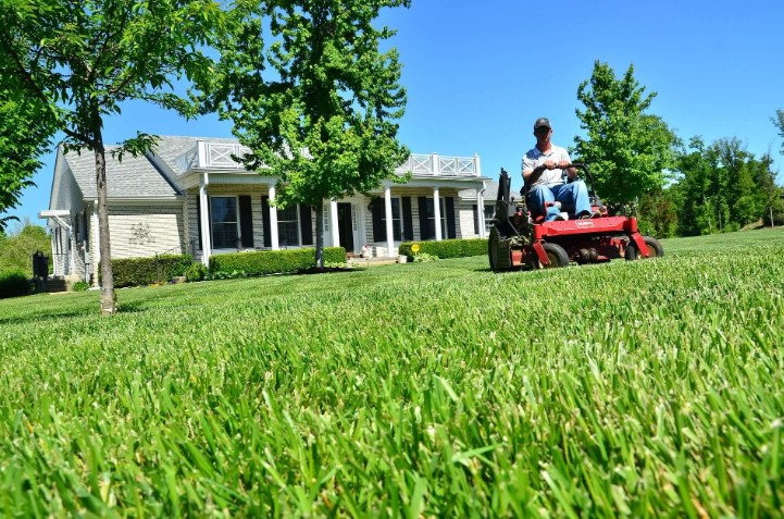 Expert Tips for Lawn Care