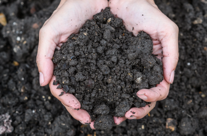 Decoding Soil Health: Key Factors and Their Impact on Your Garden