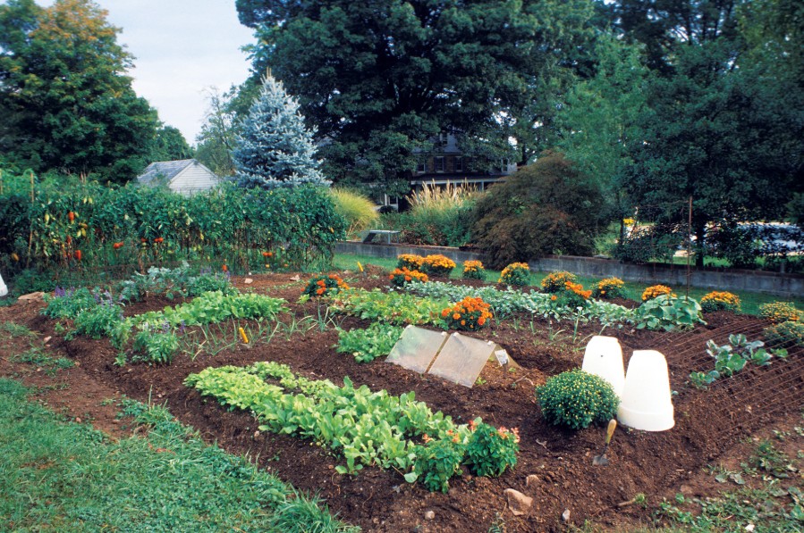 How to Choose the Right Topsoil for Your Connecticut Garden How to Choose the Right Topsoil for Your Connecticut Garden