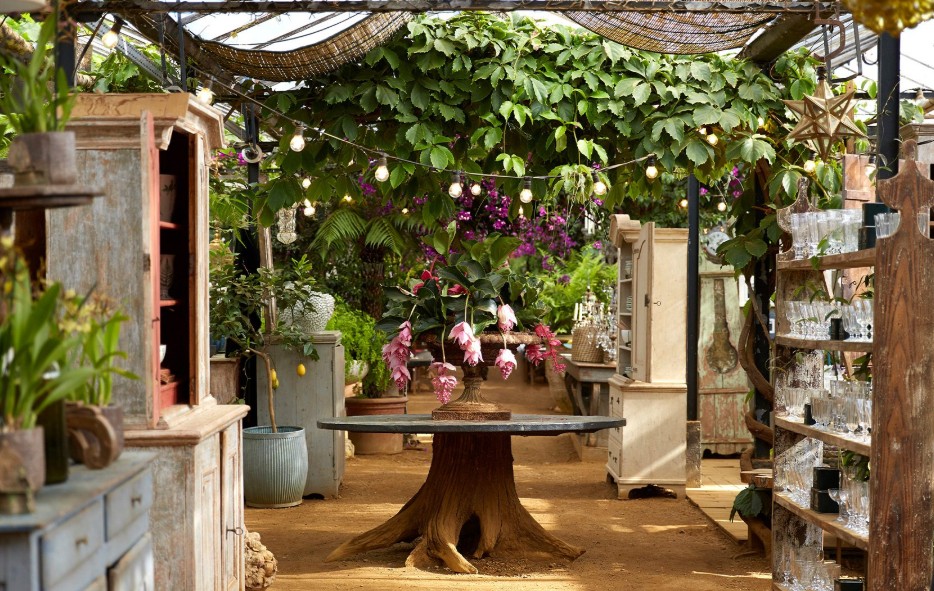 The 5 Best Online Nurseries for Beginners and Experts Alike